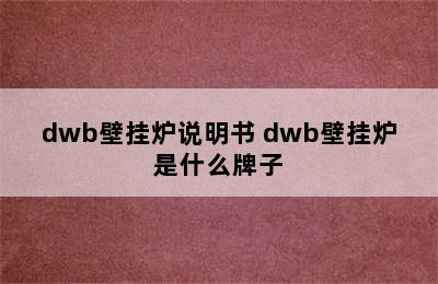 dwb壁挂炉说明书 dwb壁挂炉是什么牌子